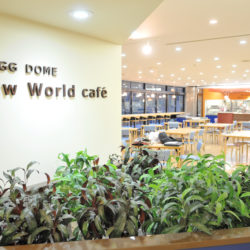 日替わりやデザートが充実した食堂「Slow World Cafe」です。