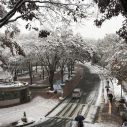 雪が降っている多摩キャンパス正門の写真です。