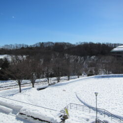 守衛坂と円芝周辺に雪がたくさん積もってしまいました。