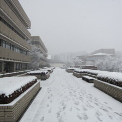 雪が降っているペデストリアンデッキの写真です。